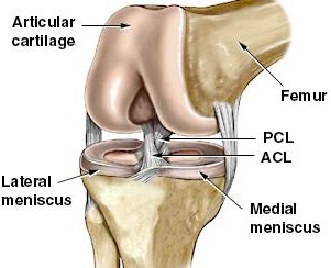 legacl1.jpg (21584 bytes)
